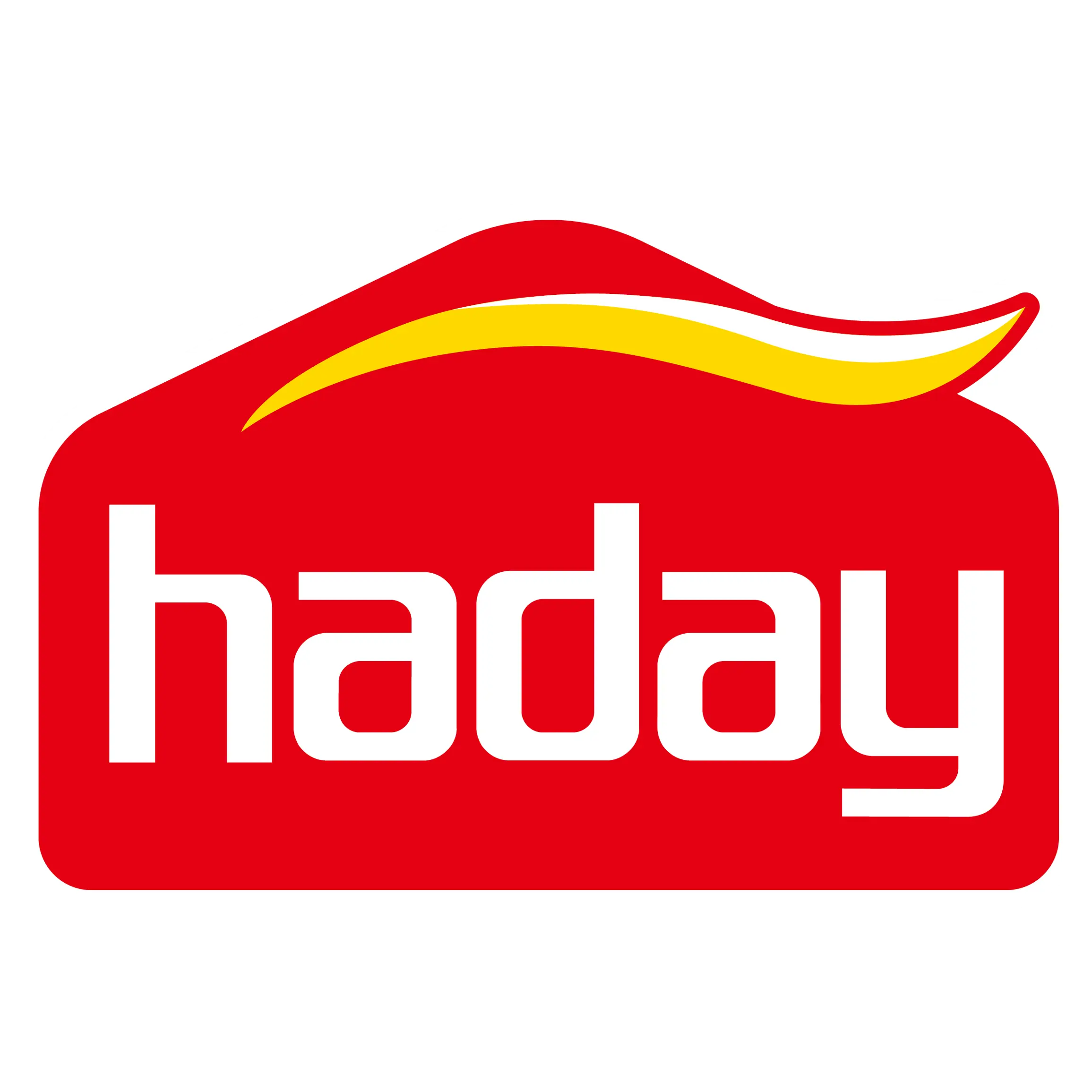 Haday Group logo