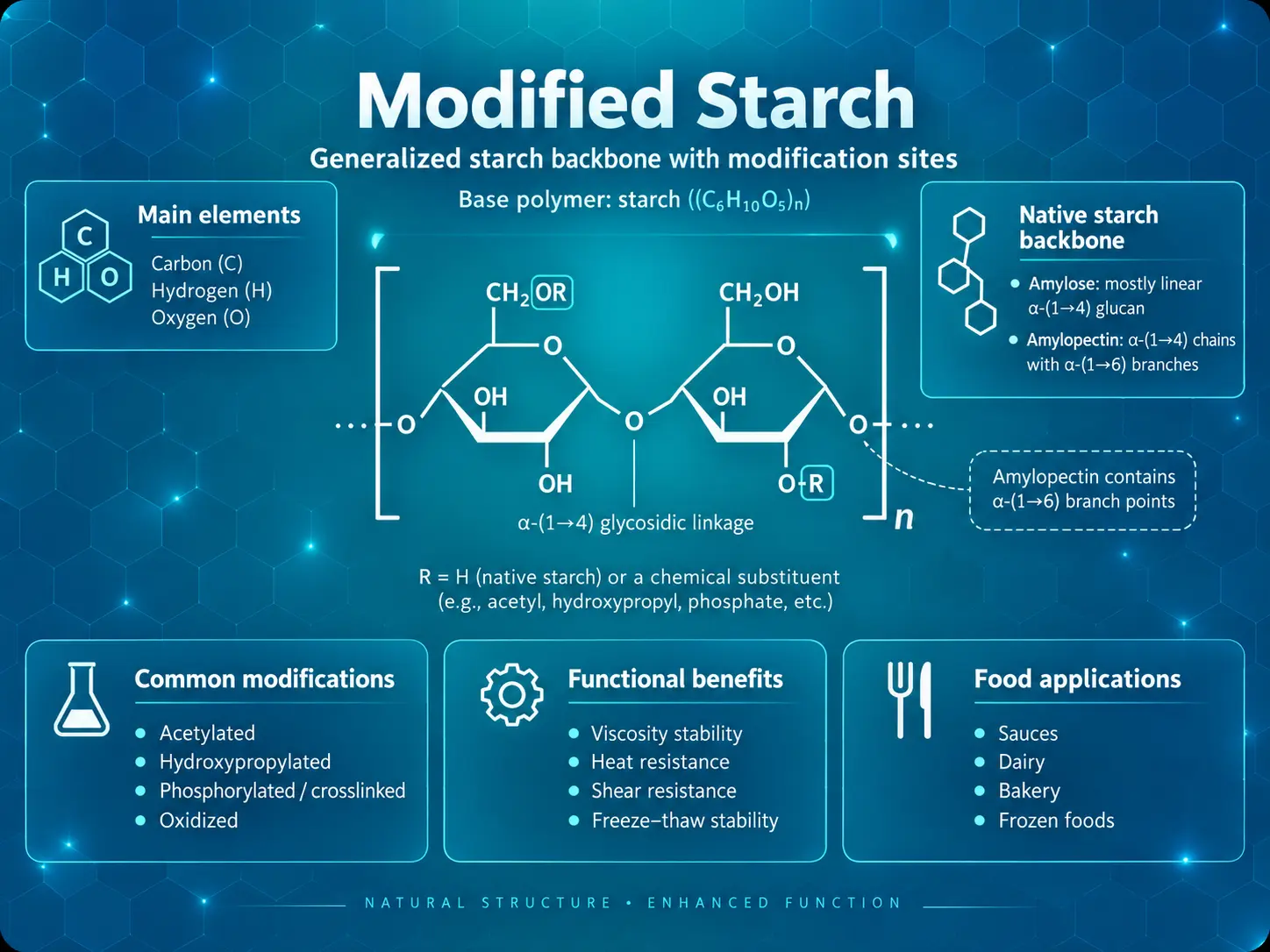 Modified starch chemical structure showing amylose amylopectin modification sites functional properties and food applications