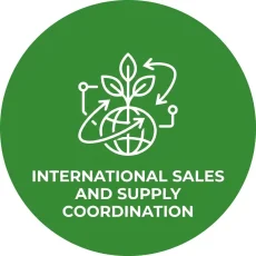 International Sales and Supply Coordination
