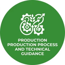 Production Process and Technical Guidance